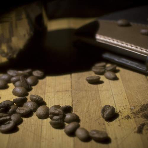 Photo #7695335