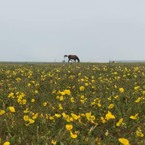 Photo #7695380