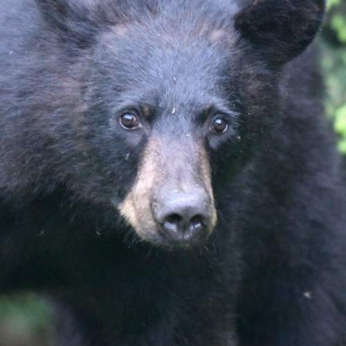 Photo #7695517
