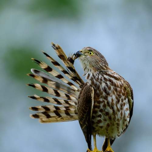 Photo #7695604