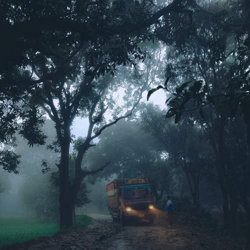 Photo #7695771