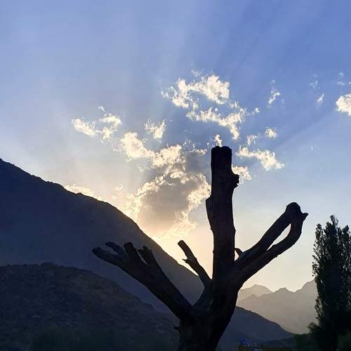 Photo #7695813