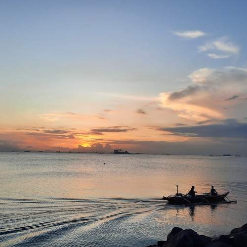 Photo #7695856