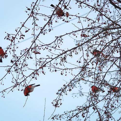 Photo #7696002