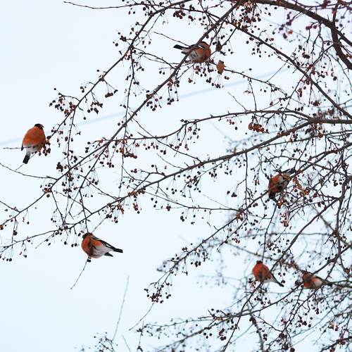 Photo #7696003