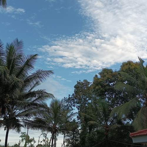 Photo #7696047
