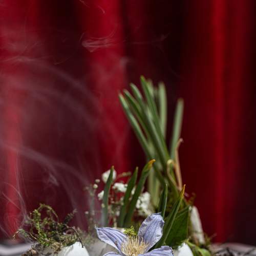 Photo #7696131