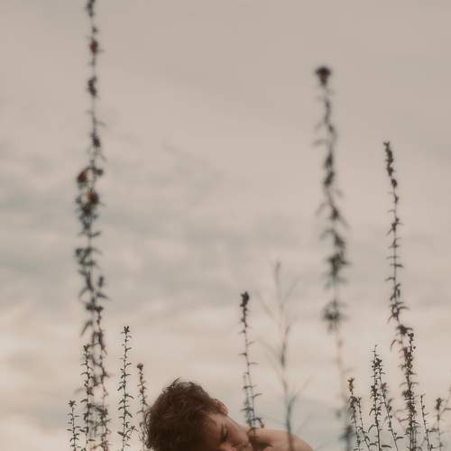 Photo #7696480
