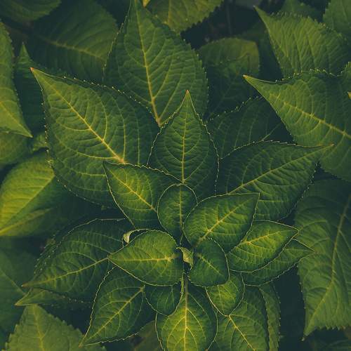 Photo #7696499