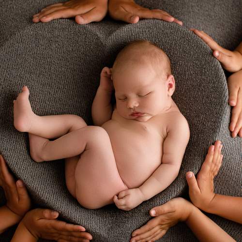 Photo #7696864