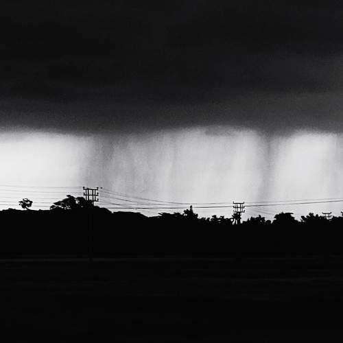 Photo #7696903