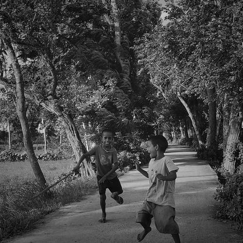 Photo #7696939