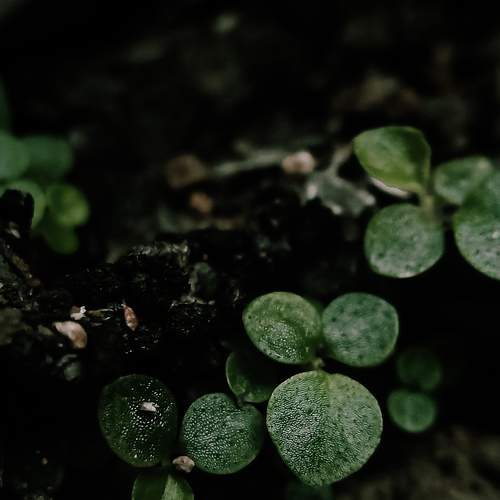 Photo #7696987