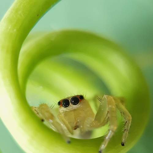 Photo #7697078