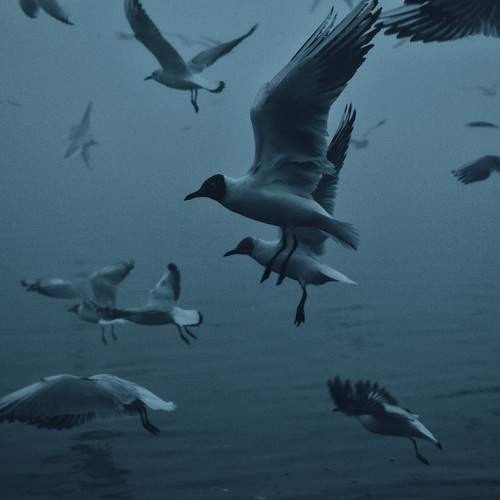 Photo #7697348