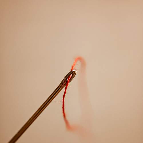 Photo #7697382