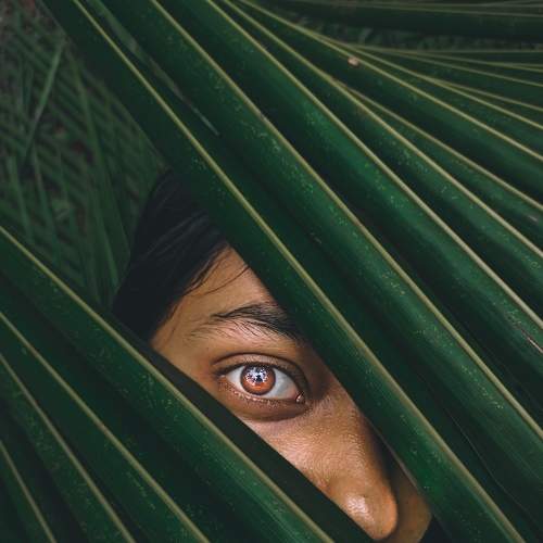 Photo #7697466