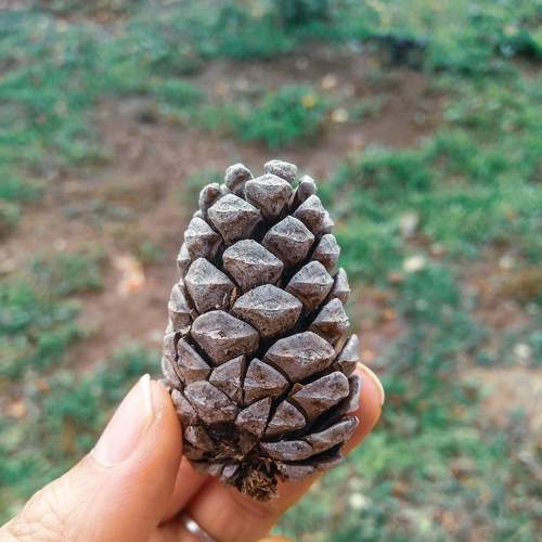 Photo #7697514