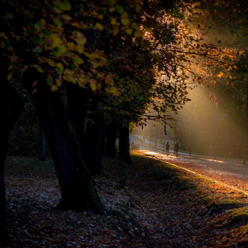 Photo #7697542