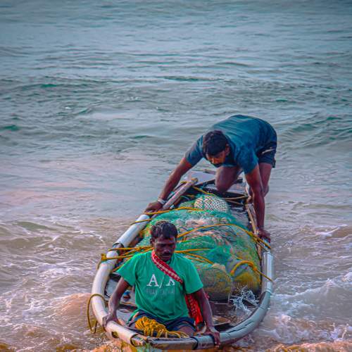Photo #7697747