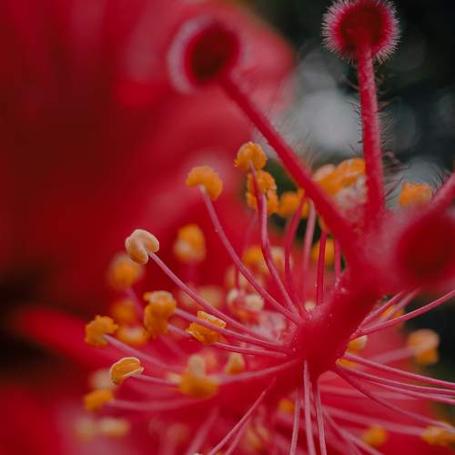 Photo #7697794