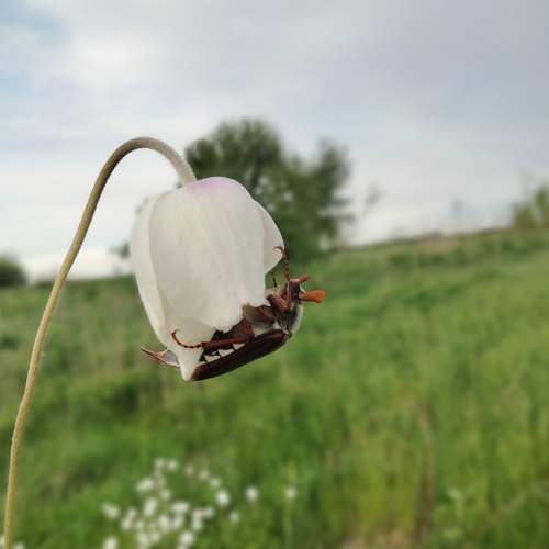 Photo #7697982