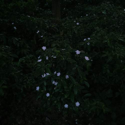 Photo #7698007