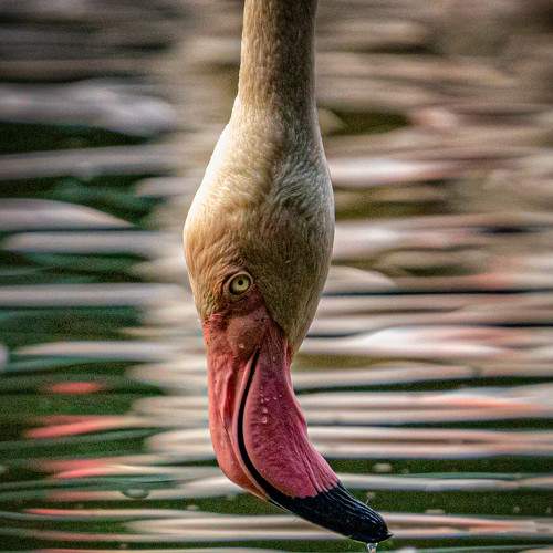 Photo #7698061