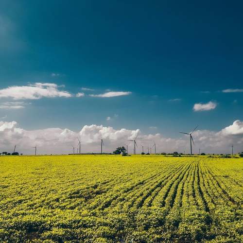 Windmills