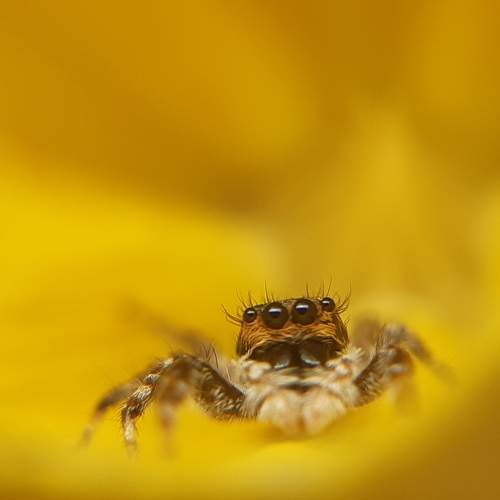 Photo #7698312