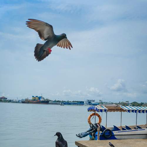 Photo #7698369