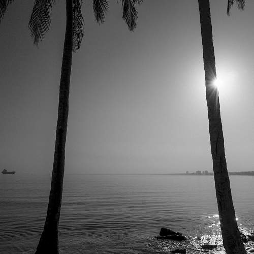 Photo #7698479