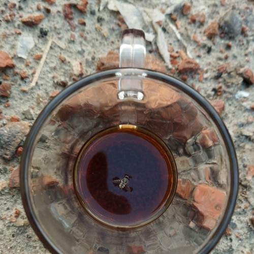 Photo #7698579