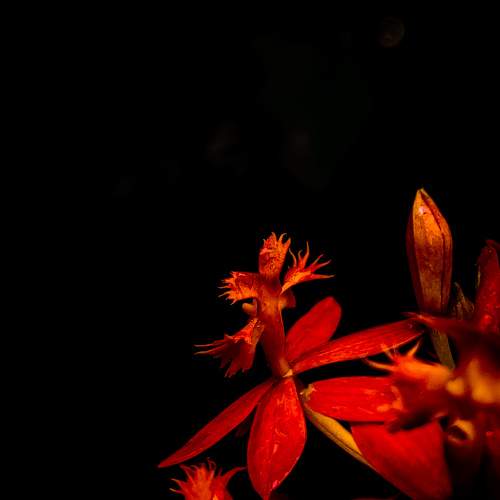 Photo #7698738