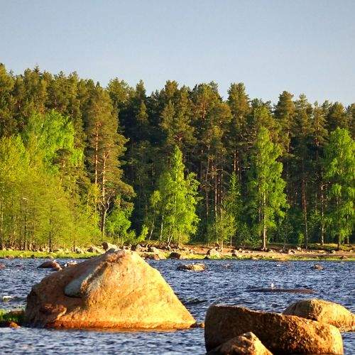Photo #7698757