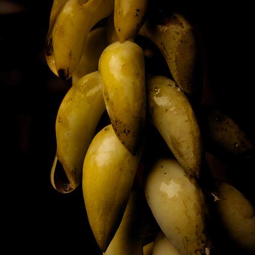 Photo #7698766