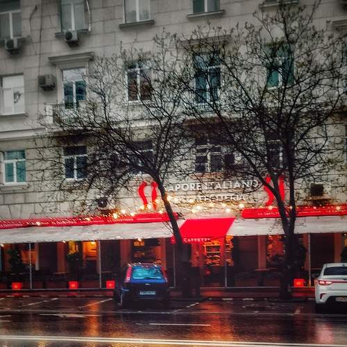 Photo #7698806