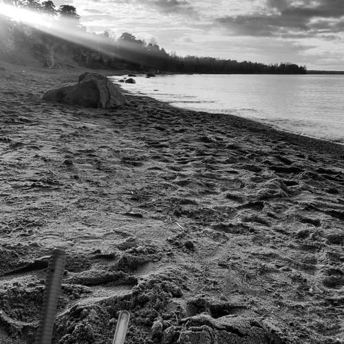 Photo #7699012