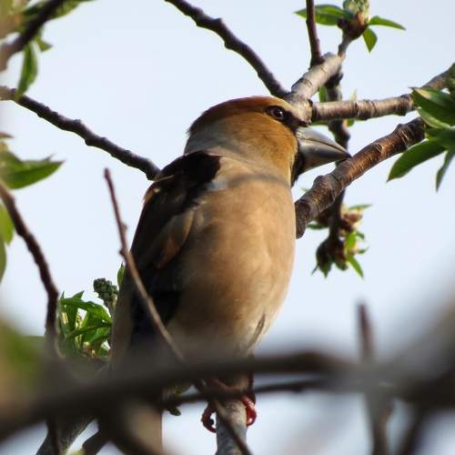 Photo #7699028