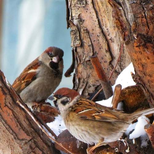 Photo #7699029