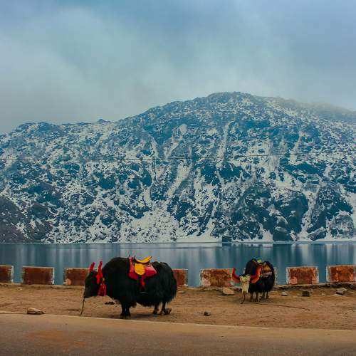 Photo #7699508