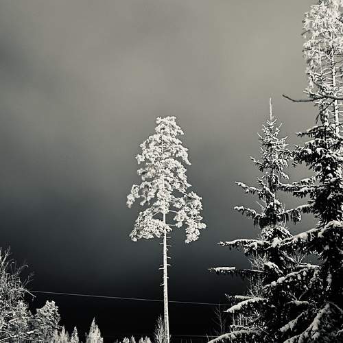 Photo #7699608