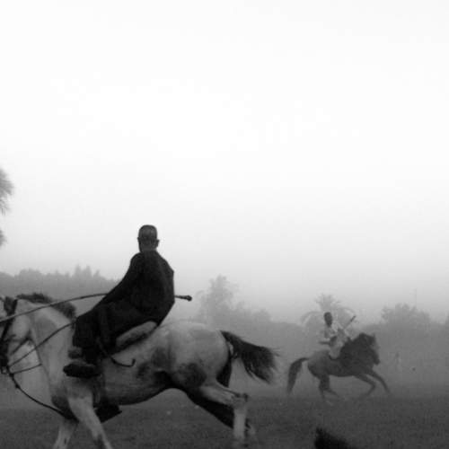 Photo #7700768
