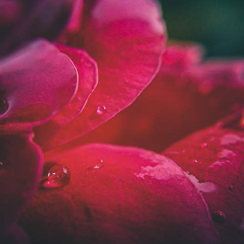 Photo #7700974