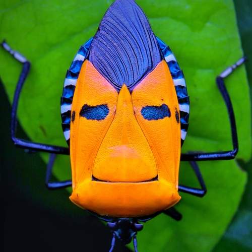 Photo #7700977