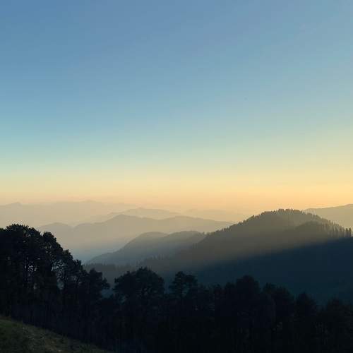 Photo #7701018