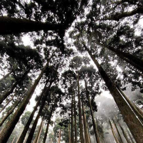 Photo #7701019