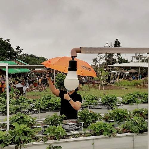 Photo #7701155
