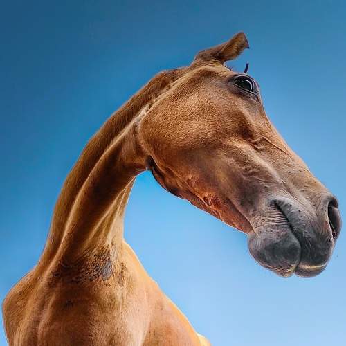 Photo #7701349