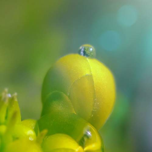 Photo #7701447